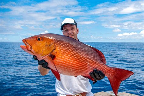 deep sea fishing nassau|sport fishing nassau bahamas.